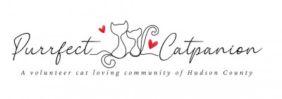 Purrfect Catpanion - Animal Shelter and Rescue in Weehawken Township, New Jersey