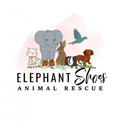 Elephant Shoes Animal Rescue - Animal Shelter and Rescue in Washington Township, New Jersey