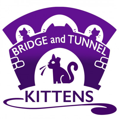 Crown Heights Cat Salon - Animal Shelter and Rescue