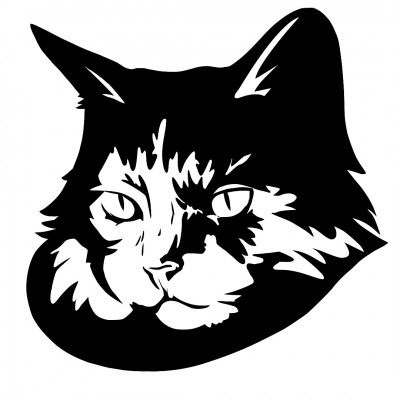 Twitchy Tails Rescue - Animal Shelter and Rescue in Springfield, Oregon