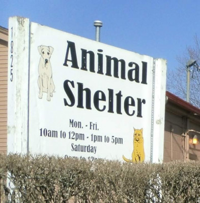 Animal Welfare League - Pet Shelter and Rescue in Richmond, Indiana