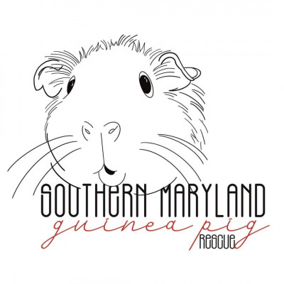 Southern Maryland Guinea Pig Rescue - Animal Shelter and Rescue in Hughesville, Maryland
