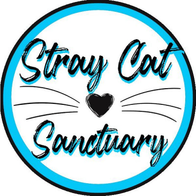 Stray Cat Sanctuary - Animal Shelter and Rescue in Leechburg, Pennsylvania