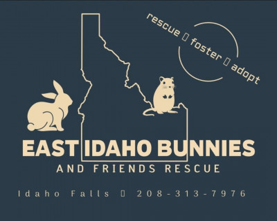 East Idaho Bunnies And Friends Rescue, Inc - Animal Shelter and Rescue in Idaho Falls, Idaho