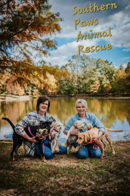 Southern Paws Animal Rescue - Animal Shelter and Rescue in Spearsville, Louisiana