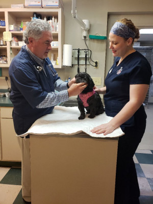Commonwealth Animal Hospital - Animal Shelter and Rescue in Harrodsburg, Kentucky