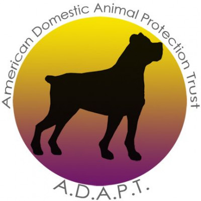 ADAPT For Animals - Pet Shelter and Rescue in Portland, Indiana