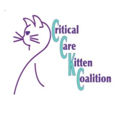 Critical Care Kitten Coalition - Animal Shelter and Rescue in Olympia, Washington