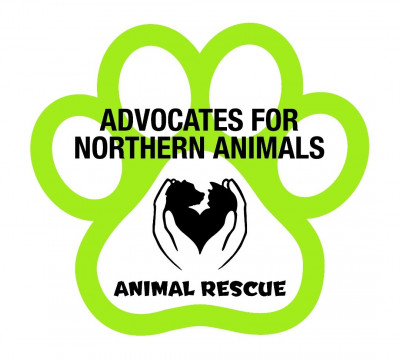 Advocates For Northern Animals - Animal Shelter and Rescue in Kirkland Lake, Ontario