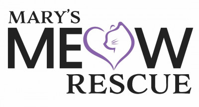 Mighty Meow Kitten Rescue - Animal Shelter and Rescue in Kennewick, Washington