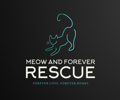 Meow And Forever - Animal Shelter and Rescue in Phoenix, Arizona