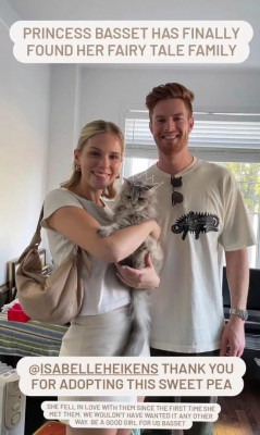 ABC Cat Rescue And Adoption - Animal Shelter and Rescue in Brampton, Ontario