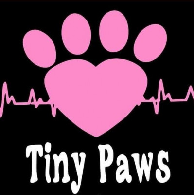 Oakdale Tiny Paws Rescue - Animal Shelter and Rescue in Oakdale, California