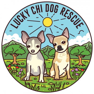 Lucky Chi Dog Rescue - Animal Shelter and Rescue in Perris, California