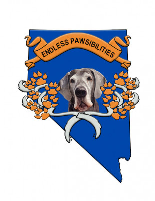 Endless Pawsibilities Foundation - Animal Shelter and Rescue in Carlin, Nevada
