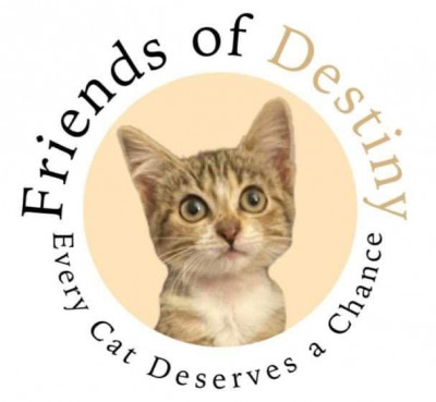 Friends Of Destiny - Animal Shelter and Rescue in Arlington, Texas