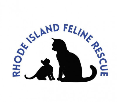 Rhode Island Feline Rescue - Animal Shelter and Rescue in East Greenwich, Rhode Island