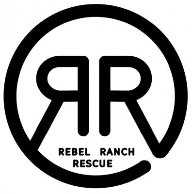 Rebel Ranch Rescue - Animal Shelter and Rescue in Wrightwood, California