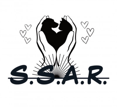 Safely Sheltered Animal Rescue - Animal Shelter and Rescue