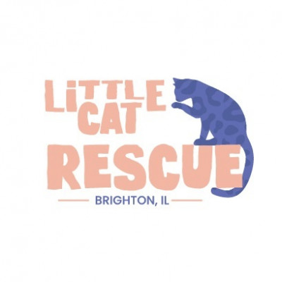 Little Cat Rescue Of Illinois - Animal Shelter and Rescue in Brighton, Illinois
