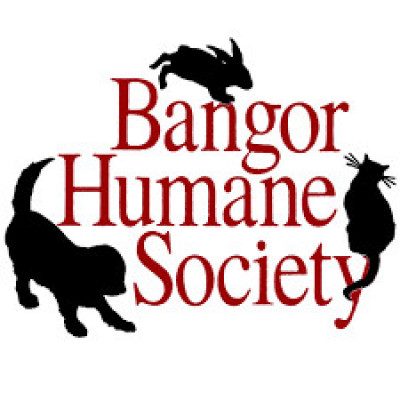 Bangor Humane Society - Animal Shelter and Rescue in Bangor, Maine