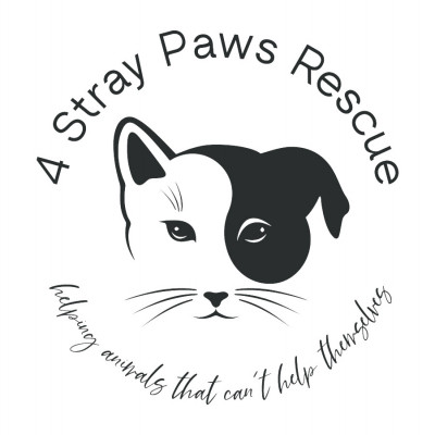 4 Stray Paws Rescue - Animal Shelter and Rescue in Shorewood, Illinois