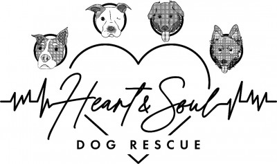 Heart And Soul Dog Rescue, Inc - Animal Shelter and Rescue in Lyndhurst, New Jersey