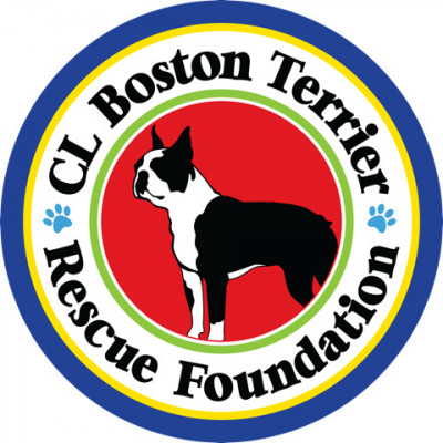 CL Boston Terrier Rescue Foundation - Animal Shelter and Rescue in Seattle, Washington