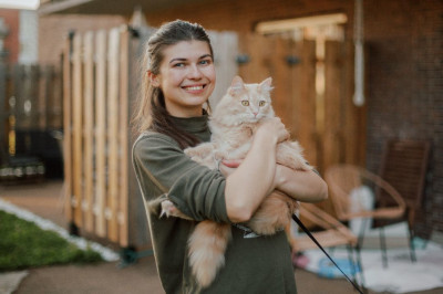 Robin Hood Rescue - Animal Shelter and Rescue in Montreal, Quebec