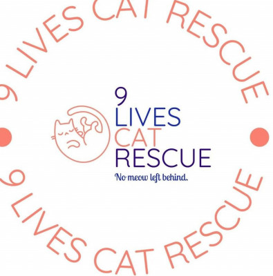 9 Lives Cat Rescue - Animal Shelter and Rescue in Lexington, South Carolina