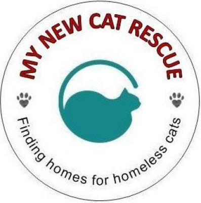 My New Cat - Pet Shelter and Rescue in West Lafayette, Indiana