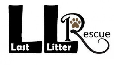 Last Litter Rescue Of Love Give Live - Animal Shelter and Rescue in Manheim, Pennsylvania
