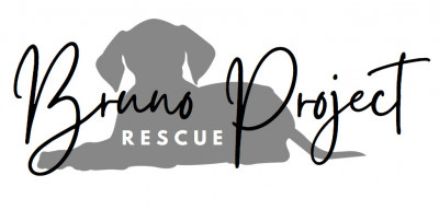 Bruno Project Rescue, Inc. - Animal Shelter and Rescue in Columbia, Maryland