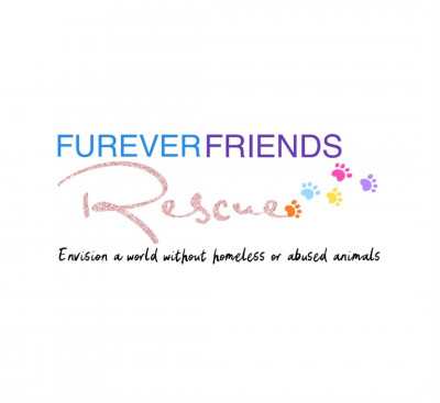 Furever Friends Rescue - Animal Shelter and Rescue in Levittown, New York
