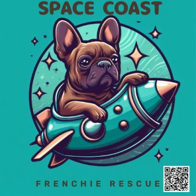 Space Coast Frenchie Rescue - Animal Shelter and Rescue in Grant-Valkaria, Florida