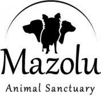 Mazolu Animal Sanctuary - Animal Shelter and Rescue in South Windsor, Connecticut