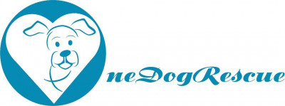 One Dog Rescue - Animal Shelter and Rescue in Riverside, Iowa