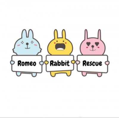 Romeo Rabbit Rescue - Animal Shelter and Rescue