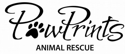 PawPrints Animal Rescue - Pet Shelter and Rescue in Florence, Kentucky