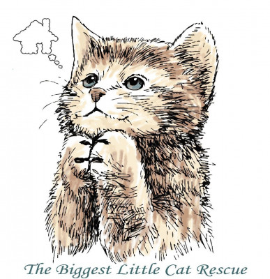 The Biggest Little Cat Rescue - Animal Shelter and Rescue in Reno, Nevada