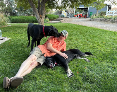 Dog House Rescue NV - Animal Shelter and Rescue in Reno, Nevada