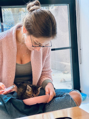 Backyard Cats Of Bed-Stuy - Animal Shelter and Rescue