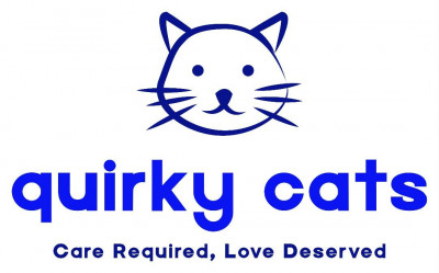 Quirky Cats Sanctuaries - Animal Shelter and Rescue in Keizer, Oregon