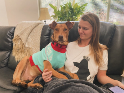 Dedicated To Helping Animals - Animal Shelter and Rescue in West Linn, Oregon