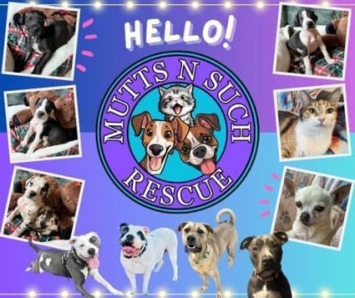 Mutts N Such Rescue - Animal Shelter and Rescue in Fort Worth, Texas