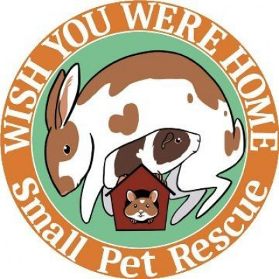 Wish You Were Home Small Pet Rescue - Animal Shelter and Rescue in Ottawa, Ontario
