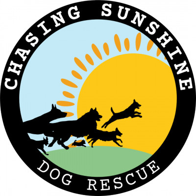 Chasing Sunshine Dog Rescue - Animal Shelter and Rescue in Griswold, Connecticut