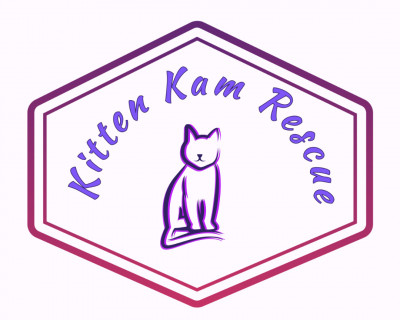 Kitten Kam Rescue - Animal Shelter and Rescue in Saint Francis, Minnesota