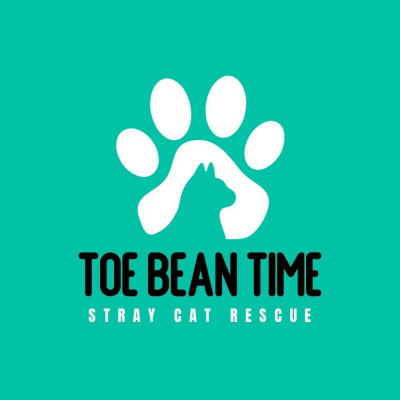 Toe Bean Time Stray Cat Rescue - Animal Shelter and Rescue in Massillon, Ohio