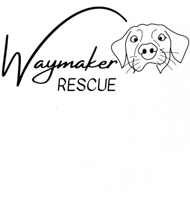 Waymaker Rescue - Animal Shelter and Rescue in Welling, Oklahoma